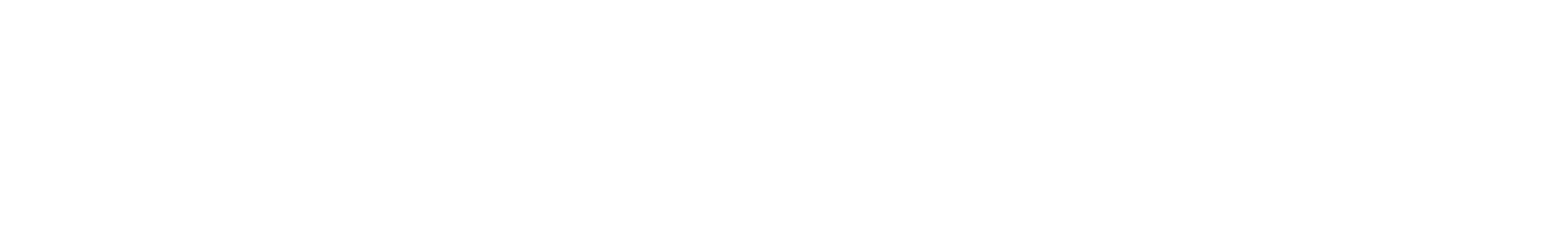 logo light